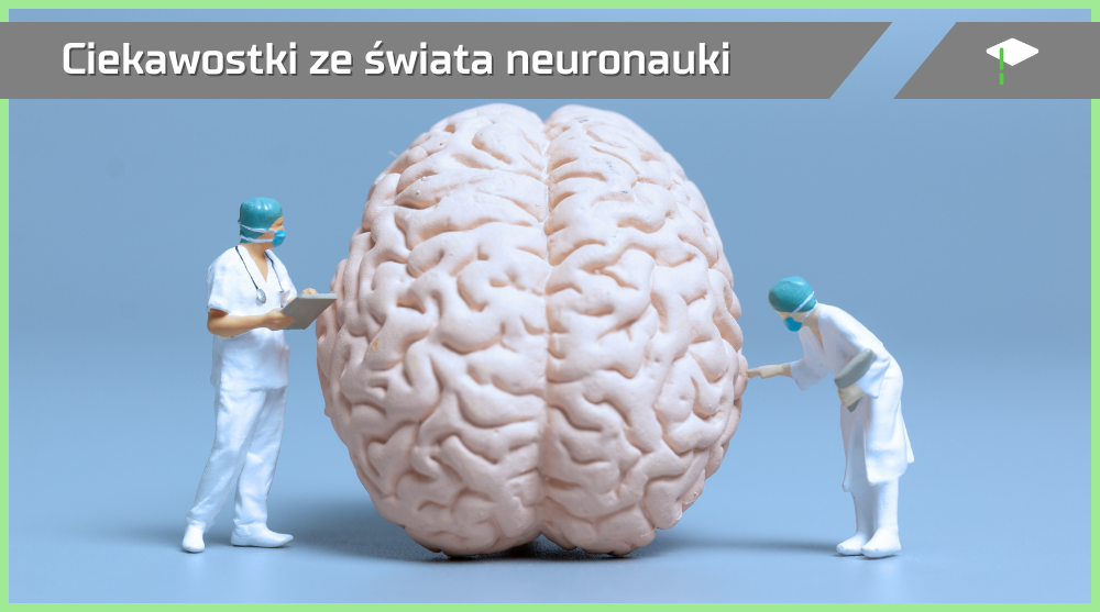 Neuronauka ciekawostki