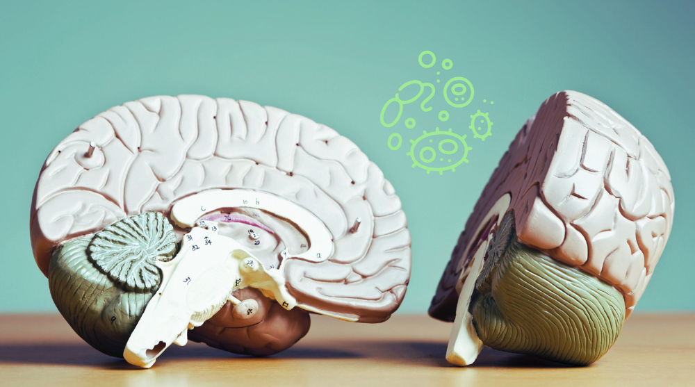 Niewidzialni architekci